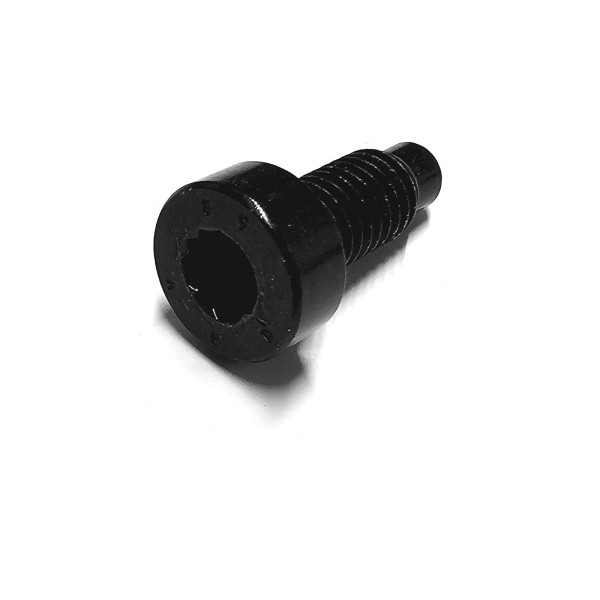 Original VW Zylinderschraube Innenvielzahnkopf M8x20 Schraube N90931602