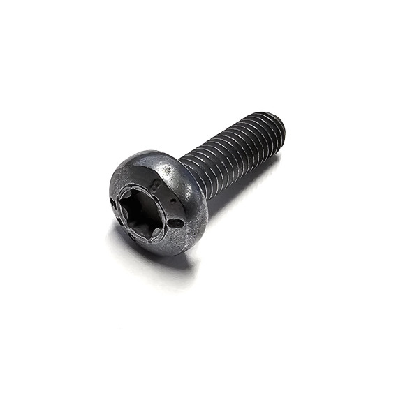 Original VW Innensechsrund-Linsenschraube M6x20 Schraube N10124309